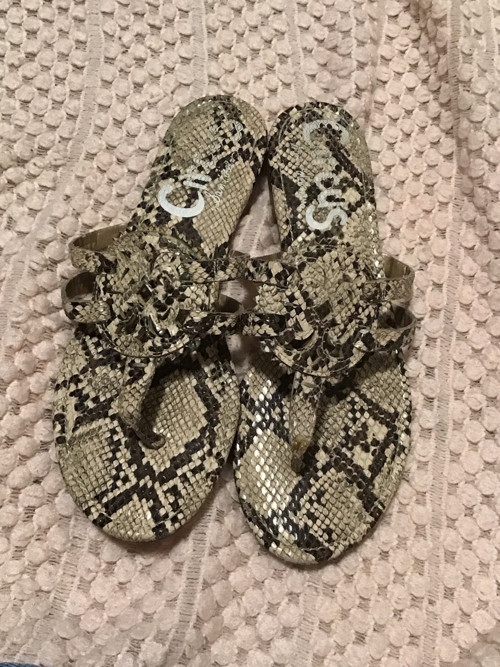 Circus by Sam Edelman Snake-Print Thong Sandals in Tan and Black